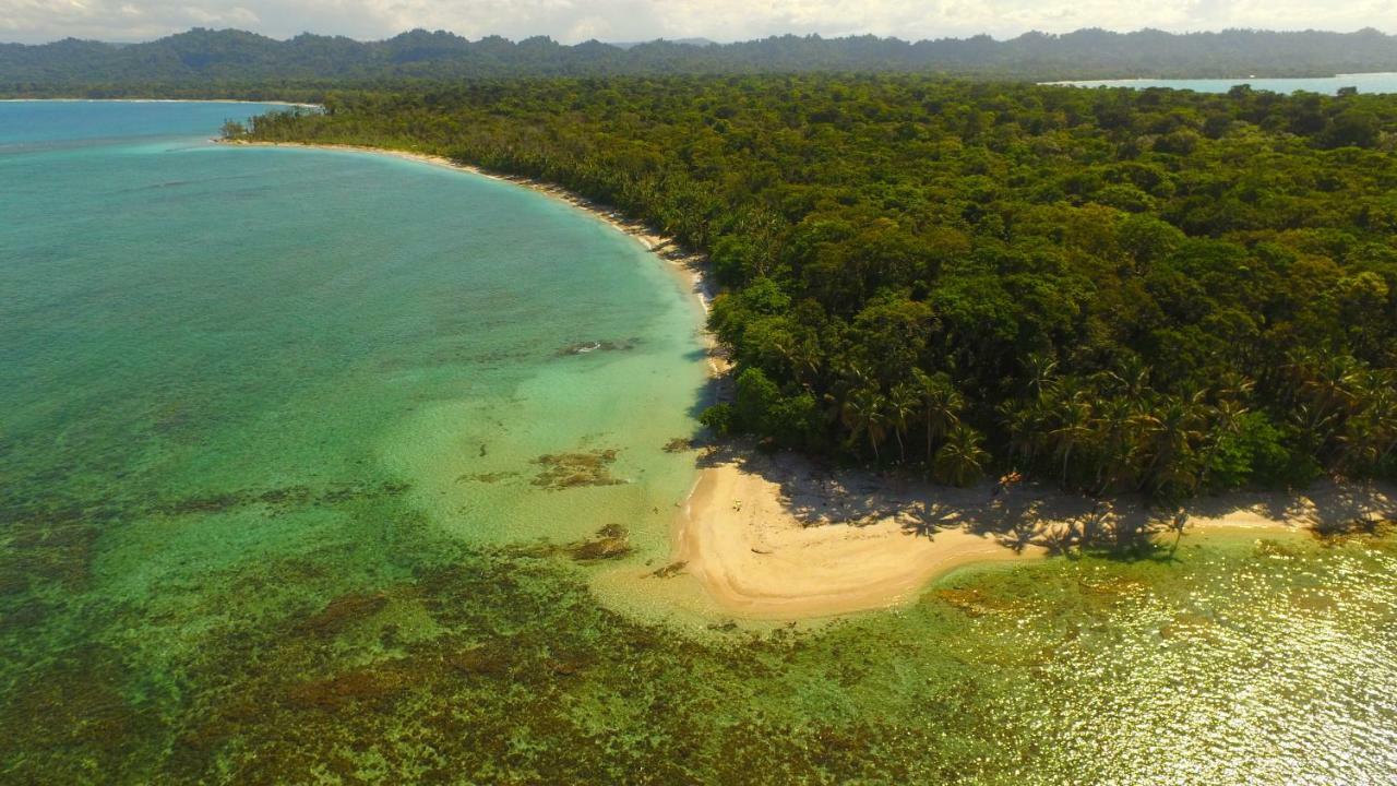 Lilan Nature, Modern House N°1, Private Swimming Pool. Cahuita Esterno foto